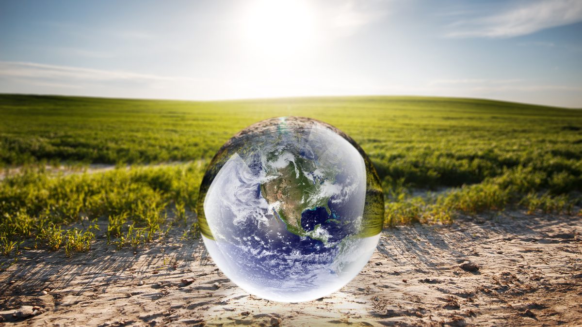 a sphere with the earth reflected in it against a background of grass and sand